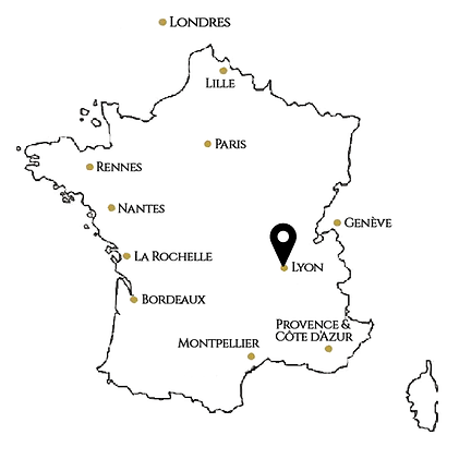 LIGMR - Lyon Institute For Geostrategy and Multicultural Relations